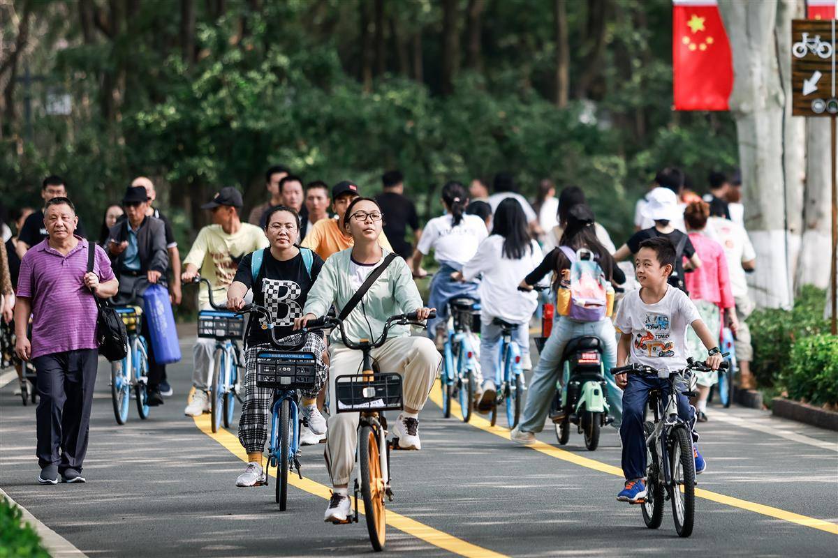 宝马线上线路检测